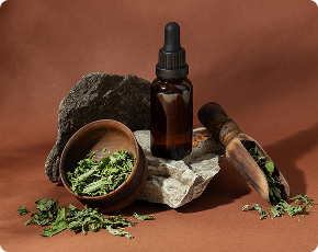 herbal-medicine-with-plants-assortment 1